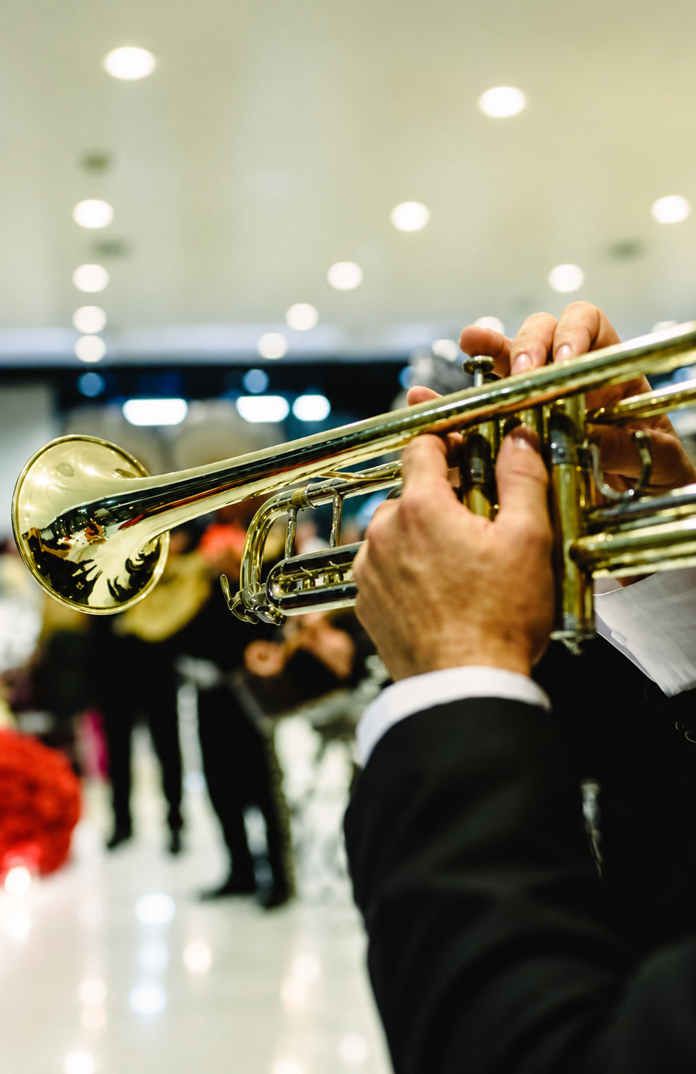 A mariachi serenade